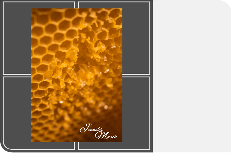 close-up-honeycomb